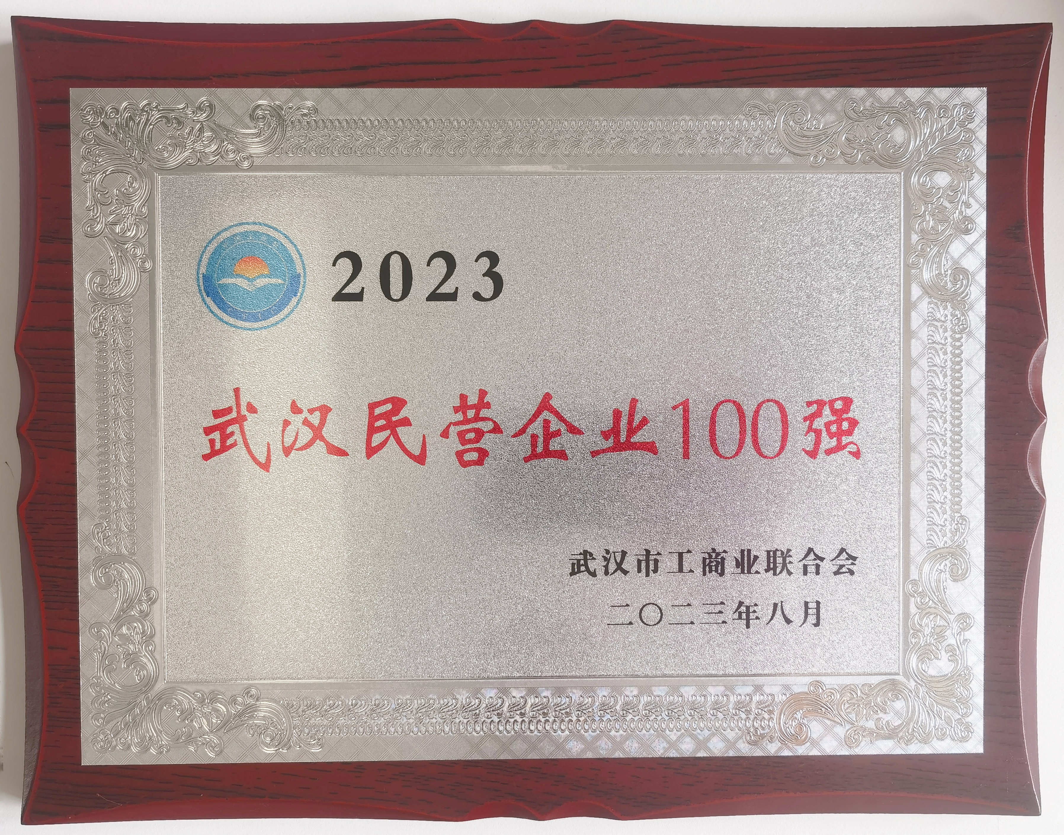 2023武汉民营企业100强